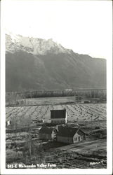 Matanuska Valley Farm Postcard