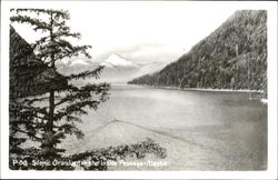 Scenic Gramdier Pm The Inside Passage Alaska Postcard Postcard