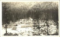 Logging Camp Postcard