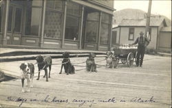 Dog-Pulled Milk Cart Alaska Postcard Postcard