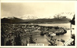 Birds Eye View Postcard