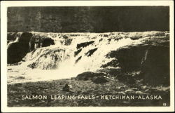 Salmon Leaping Falls Postcard