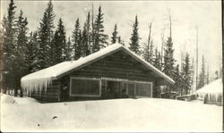 Skinners Cabin Postcard