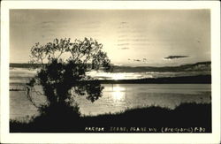 Harbor Scene Blaine Washington Postcard Postcard