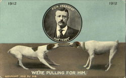 Teddy Roosevelt 1912 Campaign Postcard