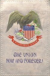 The Union Now And Forever! Postcard