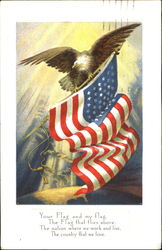 Eagle & Flag Patriotic Postcard Postcard