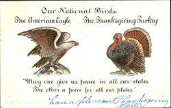 Our National Birds Patriotic Postcard Postcard