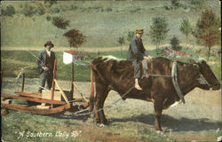 A Southern Tally Missouri Farming Postcard Postcard