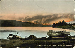 Forest Fire At Payette Lake Postcard