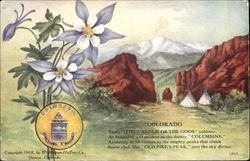 Colorado State Flowers & Seals Postcard Postcard