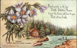 Pasque South Dakota State Flower State Flowers & Seals Postcard Postcard