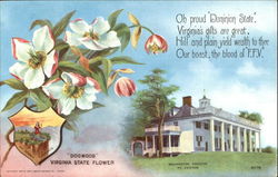 Washington Mansion Mount Vernon, VA Postcard Postcard