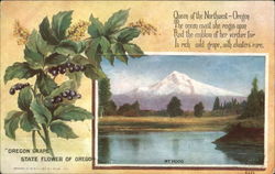 Oregon Grape Postcard