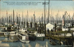 A Forest Of Masts Seattle, WA Postcard Postcard