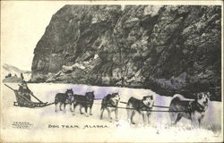 Dog Team Postcard