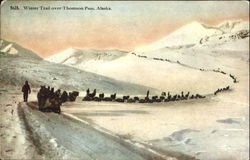 Winter Trail Over Thomson Pass Alaska Postcard Postcard