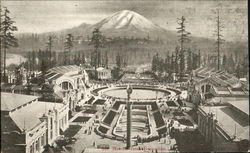 Mt. Rainier Front Exposition Postcard