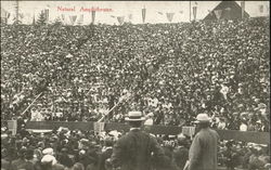 Natural Amphitheatre Seattle, WA Postcard Postcard