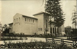 California A. Y. P. 1909 Seattle, WA Postcard Postcard