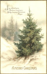 Christmas Tree Postcard