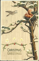 Bird Squirrel Christmas Postcard Postcard