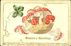 Mushrooms Christmas Postcard Postcard