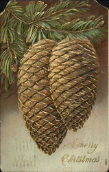 Pinecones Postcard