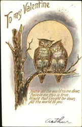 To My Valentine Owls Postcard