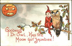 Goodness Dr. Owl Has The Moon Got Jaundice! Halloween Postcard Postcard