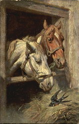 Horses Postcard