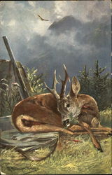 Deer Hunting Postcard Postcard