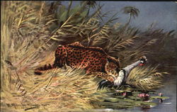 Leopard & Prey Postcard Postcard