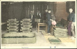 Tea Drying Japan Postcard Postcard