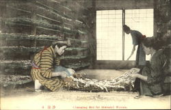 Changing Bed For Matured Worms Postcard