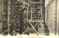 The Spinning Of Cocoons Japan Postcard Postcard