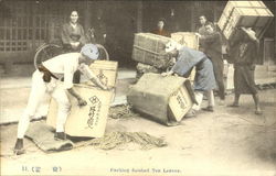 Packing Finished Tea Leaves Postcard