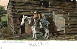 Just In From The Field Postcard