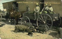 Southern Products Postcard