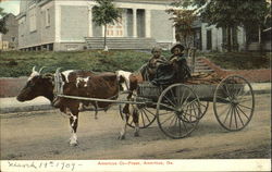 Two Blacks w/Ox-Drawn Wagon Americus, GA Postcard Postcard