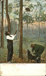 De Possum Hunt Treed Postcard