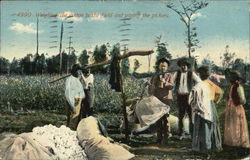 Weighing The Cotton In The Field And Paying The Pickers Black Americana Postcard Postcard