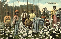 Down Where The Cotton Blossoms Grow Postcard