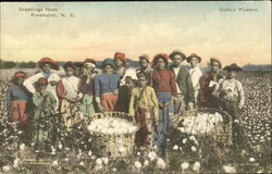 Greetings From Cotton Pickers Postcard