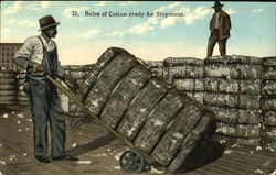 Bales Of Cotton Ready For Shipment Postcard