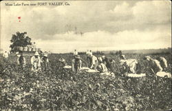 Moss Lake Farm Fort Valley, GA Black Americana Postcard Postcard