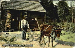 Plowing With Ox On The Old Plantation Postcard