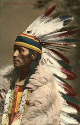 Standing Wolf Native Americana Postcard Postcard