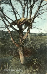 Crow Indian Grave Postcard