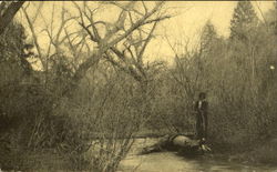 Indian Fishing On Creek Postcard